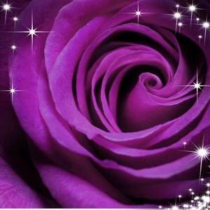 Meet your Posher, Yvette